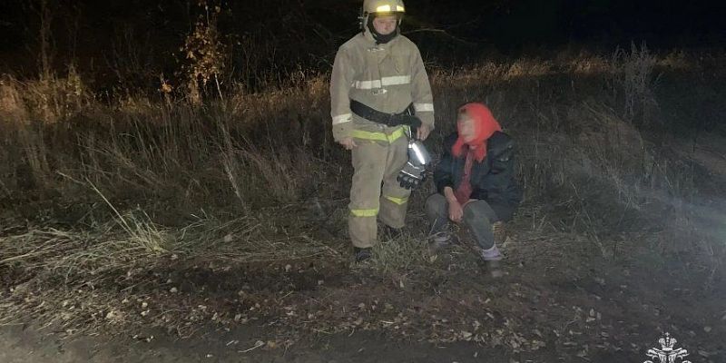 За грибами — и в другую область: пожилая орловчанка вместо даров леса набрала километров