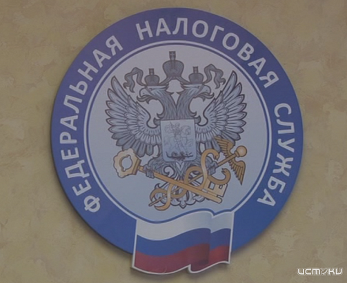 Самым популярными спецрежимами в Орловской области остаются УСН и НПД