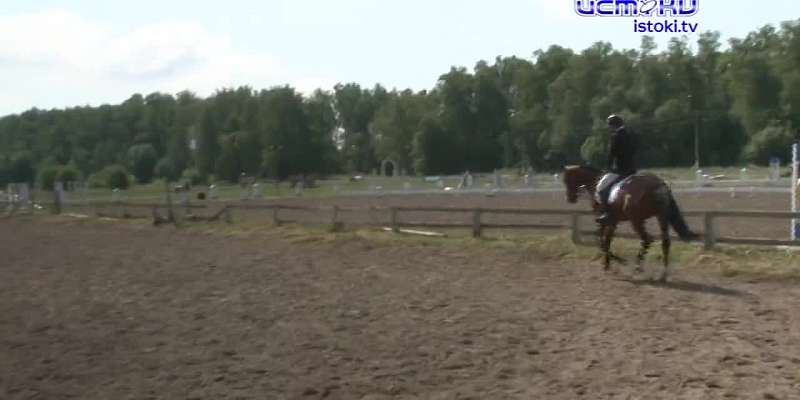 Чемпионата Орловской области в конно-спортивной школе "Ледно"