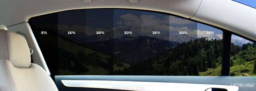 Как вы относитесь к затонированным машинам? Подводим итоги опроса