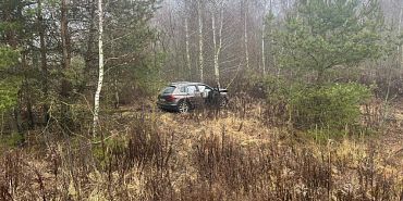 Под Орлом пострадала водитель иномарки, врезавшейся в дерево