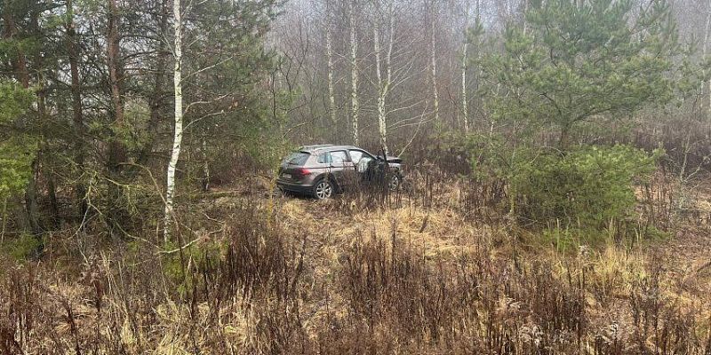 Под Орлом пострадала водитель иномарки, врезавшейся в дерево