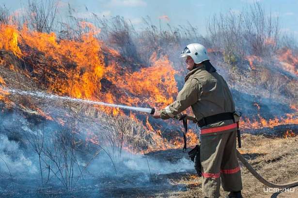 На Орловщине ухудшилась защита лесов от пожаров — Рослесхоз