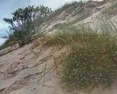 «От средней полосы до северных морей»: орловские фотографы показали нашу необъятную Россию