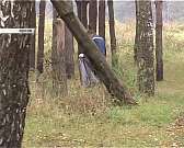 Новости за 90 секунд: в Орле при пожаре заживо сгорел сторож, средств на празднование юбилея вгороде не осталось, а в Ливнах начали сносить незаконные...