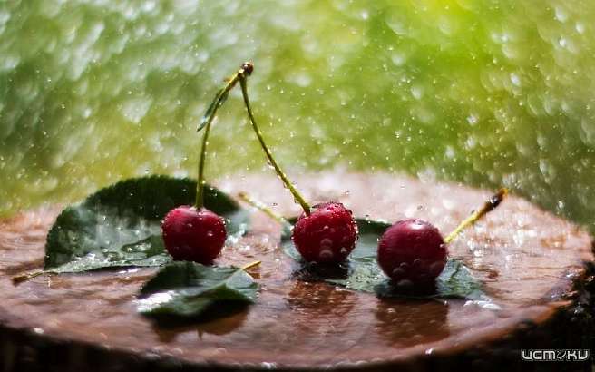 В Орел вслед за жарой вновь пришли дожди