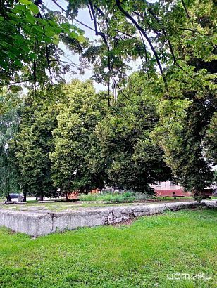 Выбрали нового народного корреспондента «Истоков» 