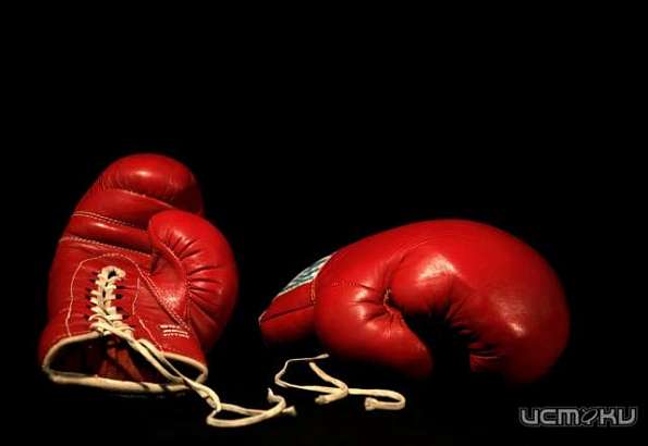 Лучшие боксеры из разных городов России сразятся в Орле