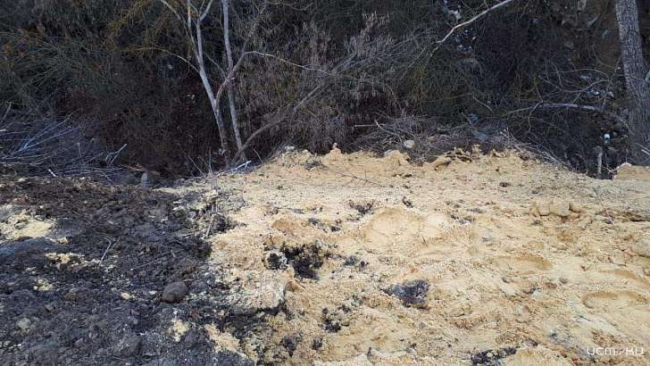 Дождался своего часа: в орловском парке Победы все-таки убрали мусор