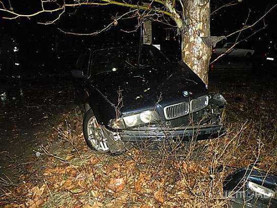 На трассе в Орловской области БМВ съехал с дороги и врезался в дерево