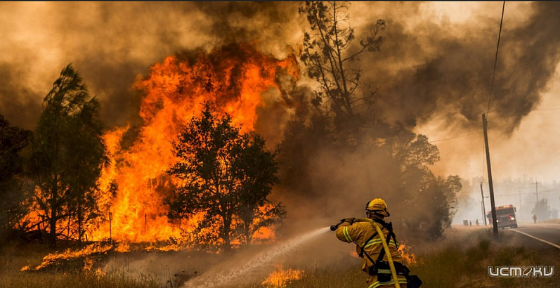 На Орловщине отмечено четырехкратное увеличение природных пожаров