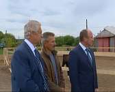 Животные‑психотерапевты. Катание на лошадях помогает детям с тяжелым недугом