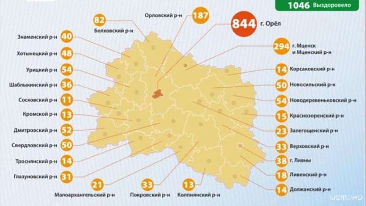 На Орловщине победивших COVID-19 впервые стало больше, чем больных 