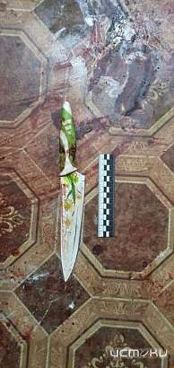 Жителя Глазуновки заключили под стражу за убийство случайной знакомой