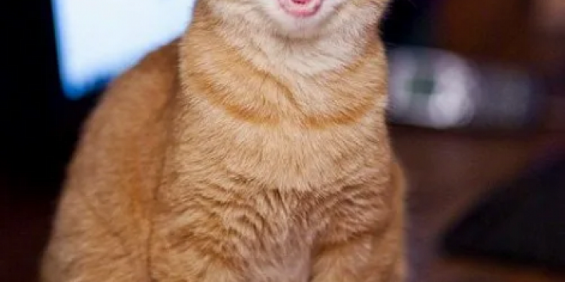 кинотеатр Современник 1 апреля: Проверь свою интуицию с "Истоками"!