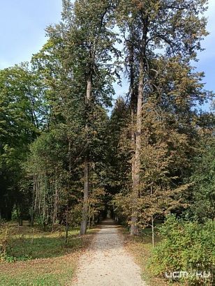 На Орловщине похолодает, хоть и ненамного 
