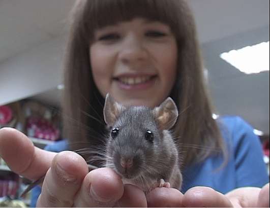 Европа плюс Орел - праздник продолжается