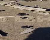 «Опубликуйте, чтобы люди знали, какие убитые пляжи на юге России!».