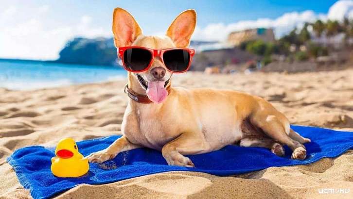 В Орел возвращаются солнце и тепло