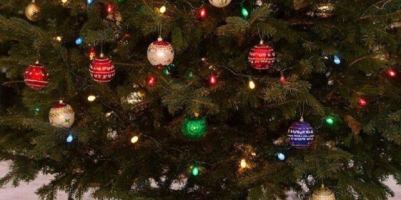 Жители Орла могут сдать новогодние елки на переработку