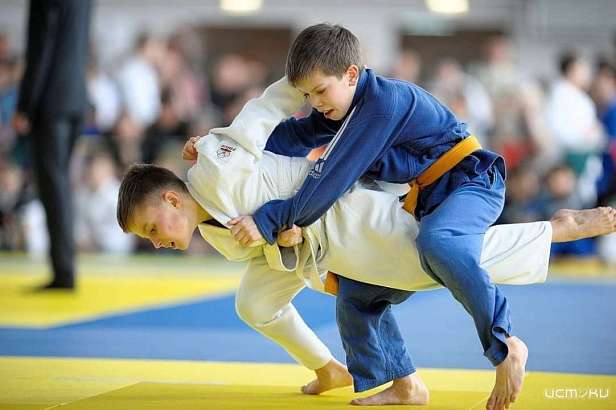 Дворец спорта "Юность России" примет межрегиональные соревнования по дзюдо