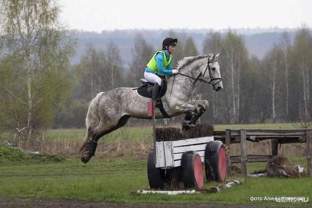 1 сентября в нашем регионе будет дан старт Чемпионату Орловской области по конному спорту