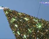 В Орле откроется только каждый третий елочный базар, депутаты облсовета с трехлетним опозданием подключатся к теме неработающего уличного освещения в ...