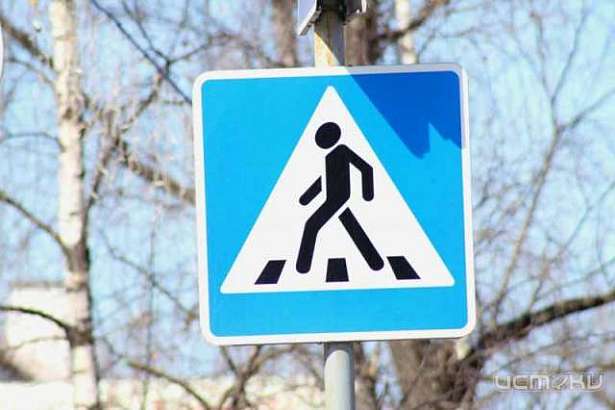 В Орловской области «девятка» на пешеходном переходе сбила двух человек