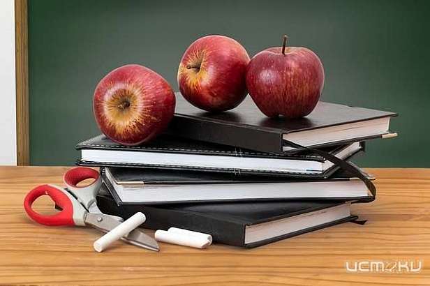 Горсовет попросил мэрию приостановить оптимизацию школ