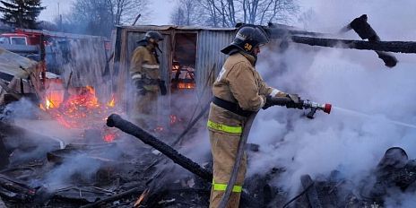 В орловском селе сгорели гараж, хозпостройка и автомобиль