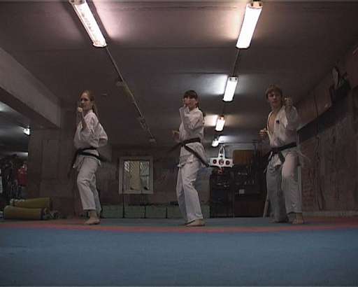 Очередная победа орловского карате