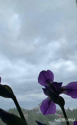 Ночью над Орловской областью уничтожены два БПЛА!  Ночью над Орловской областью уничтожены два БПЛА!