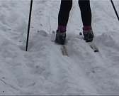 Орловские ориентировшики начали проводить открытые зимние тренировки в лесу