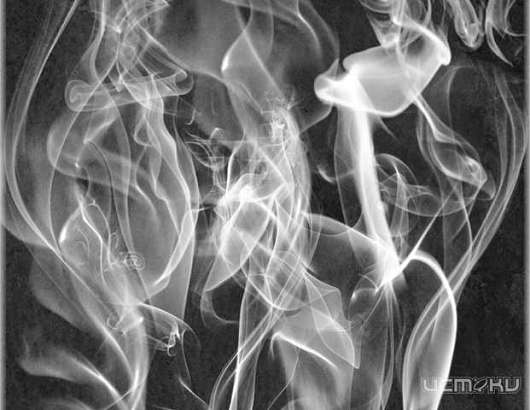 По факту смерти двух женщин и ребенка возбуждено уголовное дело