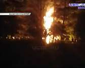 Орловские медики попросили помощи у Путина, а в областном центре ПАЗ серьезно повредил кроссовер