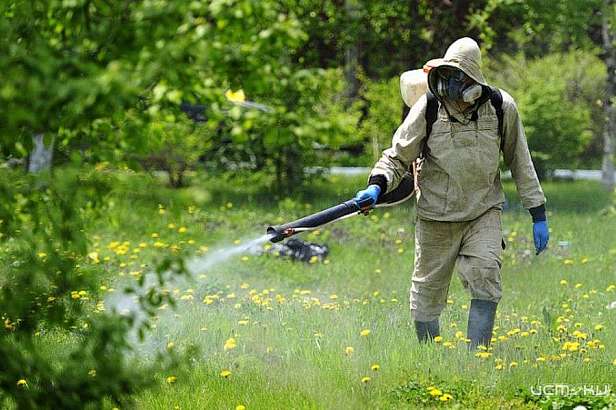 За 300 тысяч рублей 16 общественных мест Орла обработают от клещей дважды