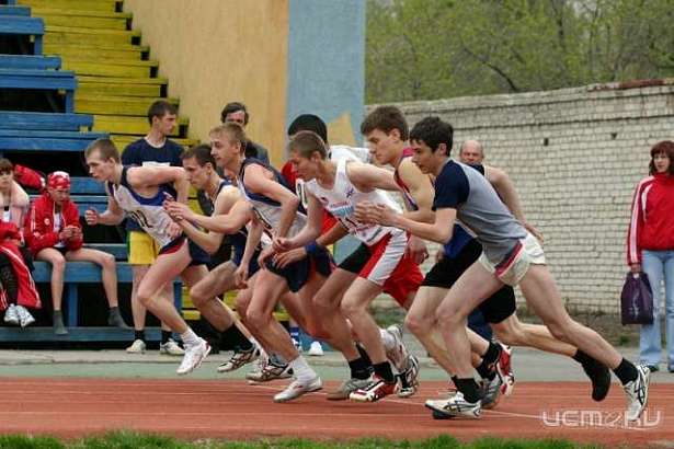 12 орловских спортсменов будут получать стипендии