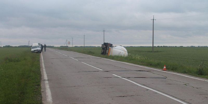 дтп В Орловской области грузовик вылетел в кювет из-за косули на дороге