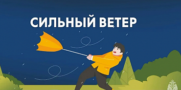 В Орловской области ожидаются порывы ветра до 18 м/c