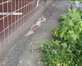 Прокуратура проводит проверку по жалобам жителей ул. Раздольной на затопленный подвал, военно-патриотический фестиваль в Сабуровской крепости привлек ...