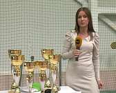 В Орле прошел фестиваль «Папа, мама, я – спортивная семья»