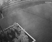 После ночной прогулки орловчанки в центре города поредела клумба После ночной прогулки орловчанки в центре города поредела клумба