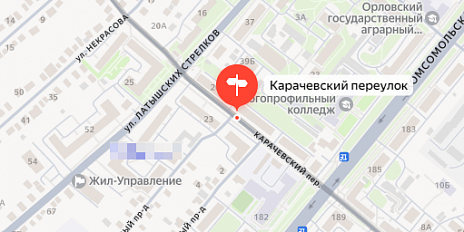 Орловская прокуратура проводит проверку по видеообращению жителей переулка Карачевский