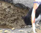 Яма раздора. Жительница дома №98 по улице Московская вновь обратилась в медиахолдинг "Истоки" за помощью