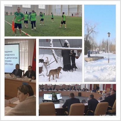 Приют силами монахинь, чиновники взялись за рекламные баннеры, областные депутаты спорили по разным вопросам