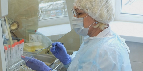 Сколько проб мясной продукции было исследовано с начала года на Орловщине и что показали результаты?