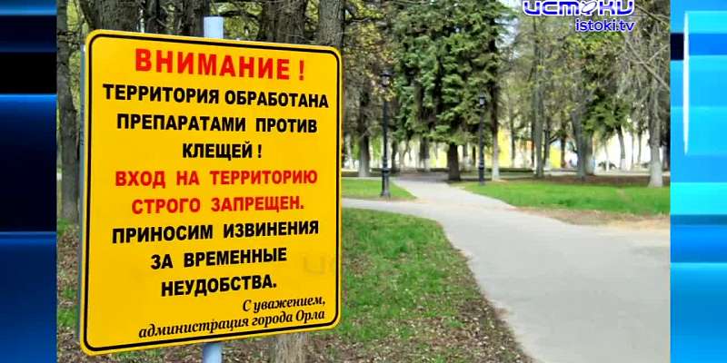 Сильный ветер снес шпиль с дома на ул. Московской, орловчане возмущаются антисанитарией после ярмарки выходного дня, а "Русичи-Орел" разгромили липецк...