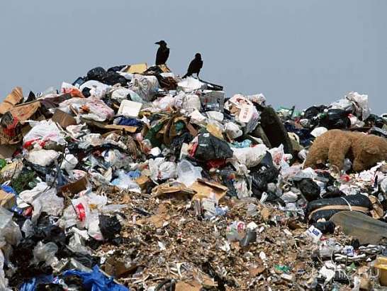 Жители Хардиково добились вывоза мусора через прокуратуру