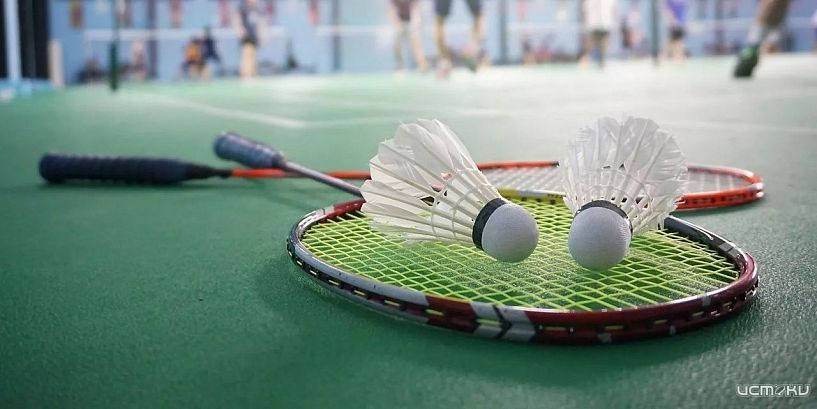 Мастера ракетки и волана выступят в Орле 