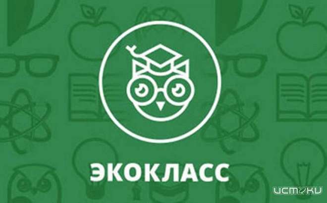 Учитель из Корсаковского района возглавила региональный рейтинг педагогов по экопросвещению школьников 